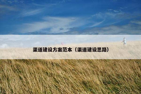 渠道建设方案范本（渠道建设思路）