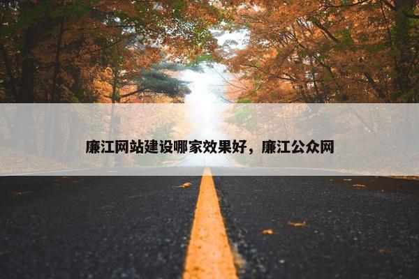 廉江网站建设哪家效果好，廉江公众网