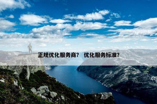 正规优化服务商？ 优化服务标准？