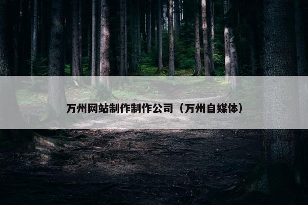 万州网站制作制作公司（万州自媒体）