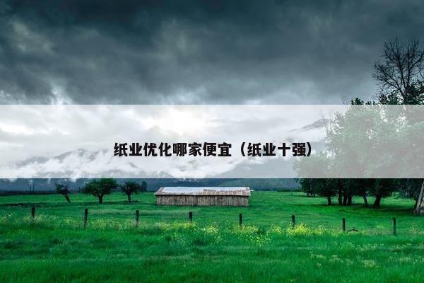 纸业优化哪家便宜（纸业十强）