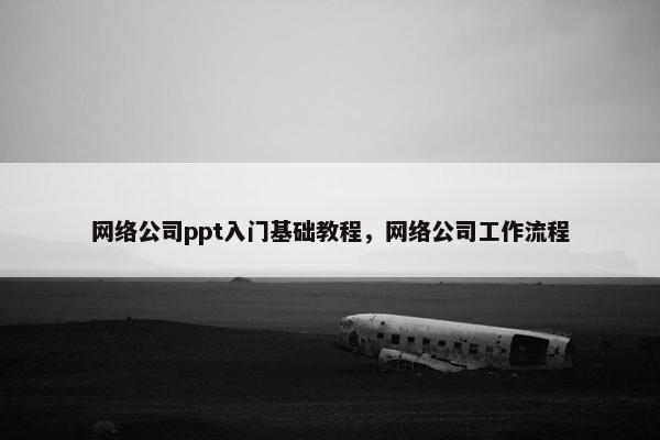 网络公司ppt入门基础教程，网络公司工作流程