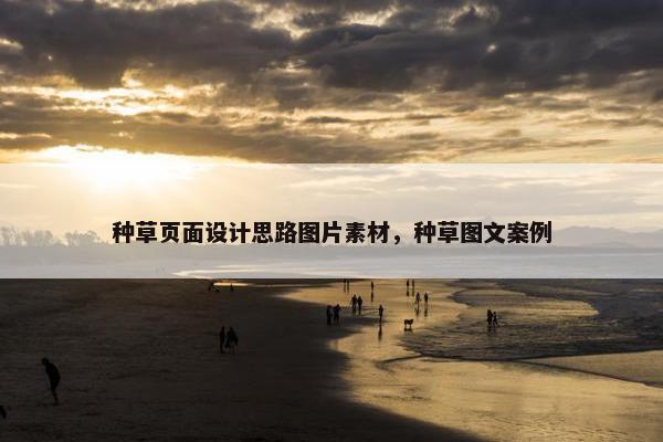 种草页面设计思路图片素材，种草图文案例