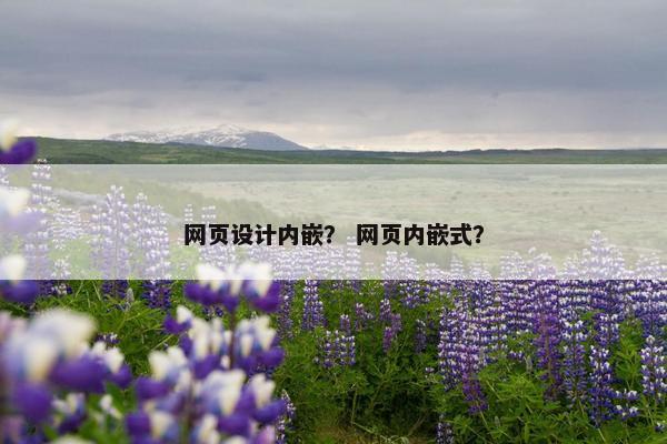 网页设计内嵌？ 网页内嵌式？