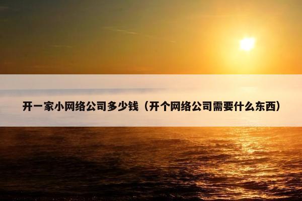 开一家小网络公司多少钱（开个网络公司需要什么东西）