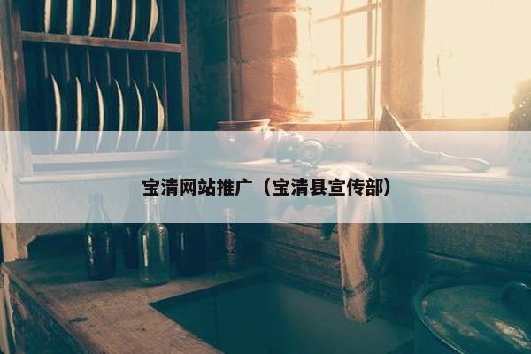 宝清网站推广（宝清县宣传部）
