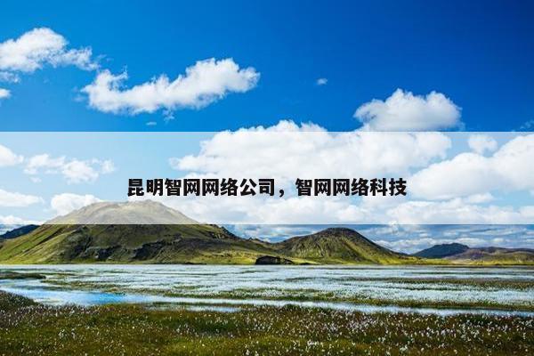 昆明智网网络公司，智网网络科技