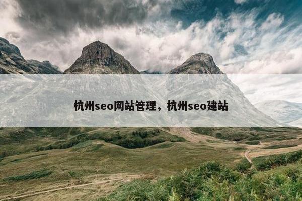 杭州seo网站管理，杭州seo建站