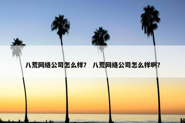 八荒网络公司怎么样？ 八荒网络公司怎么样啊？
