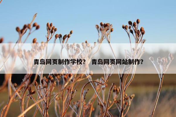 青岛网页制作学校？ 青岛网页网站制作？