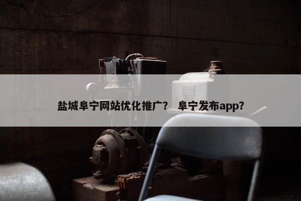 盐城阜宁网站优化推广？ 阜宁发布app？