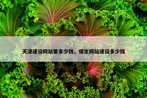 天津建设网站要多少钱，保定网站建设多少钱