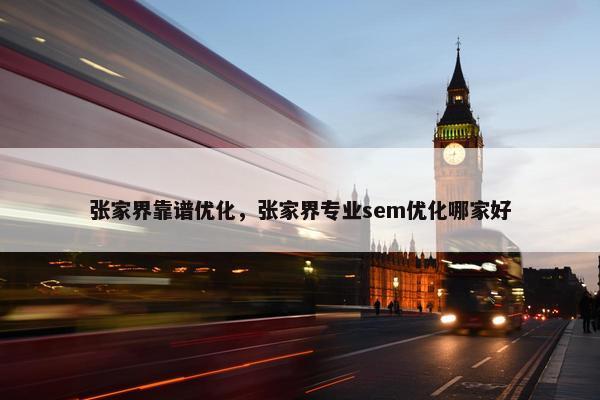 张家界靠谱优化，张家界专业sem优化哪家好