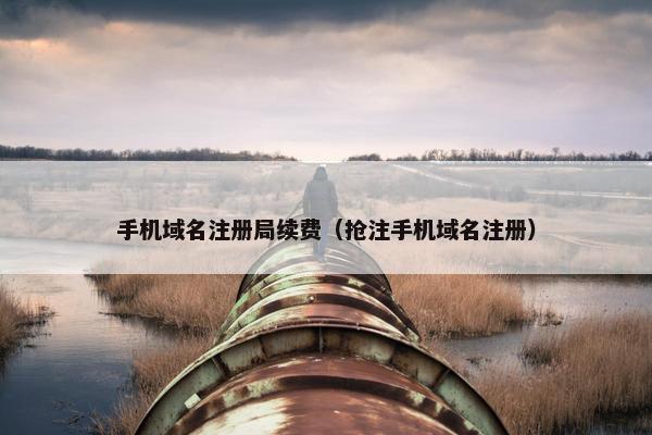 手机域名注册局续费（抢注手机域名注册）