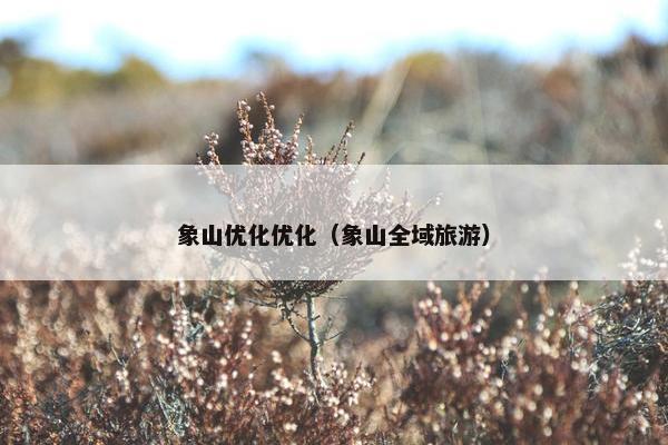 象山优化优化（象山全域旅游）