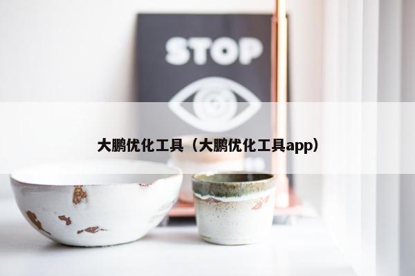 大鹏优化工具（大鹏优化工具app）