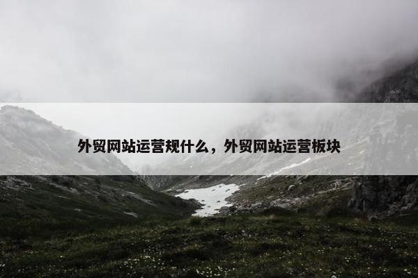 外贸网站运营规什么，外贸网站运营板块