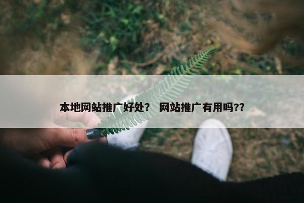 本地网站推广好处？ 网站推广有用吗?？