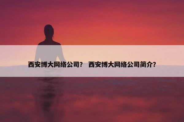 西安博大网络公司？ 西安博大网络公司简介？