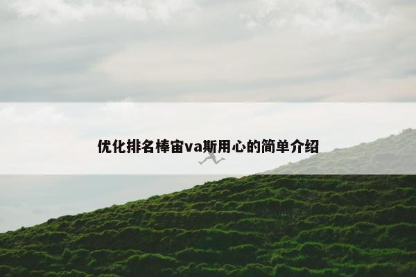 优化排名棒宙va斯用心的简单介绍