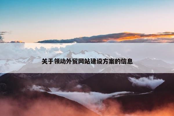关于领动外贸网站建设方案的信息