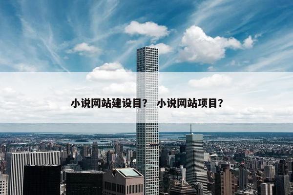 小说网站建设目？ 小说网站项目？