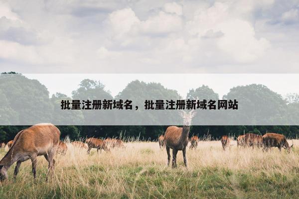 批量注册新域名，批量注册新域名网站