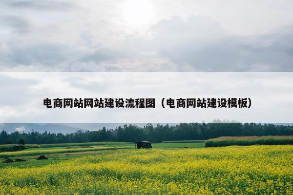 电商网站网站建设流程图（电商网站建设模板）