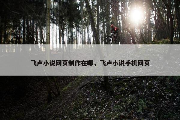 飞卢小说网页制作在哪，飞卢小说手机网页