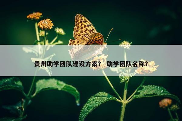 贵州助学团队建设方案？ 助学团队名称？