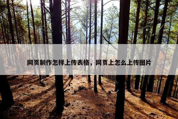 网页制作怎样上传表格，网页上怎么上传图片