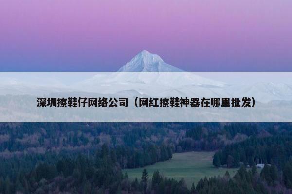 深圳擦鞋仔网络公司（网红擦鞋神器在哪里批发）