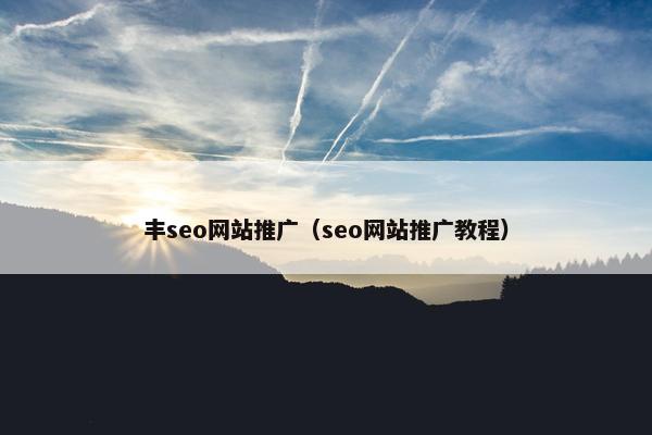 丰seo网站推广（seo网站推广教程）