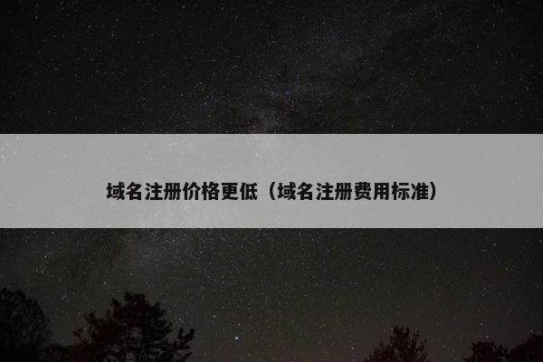 域名注册价格更低（域名注册费用标准）