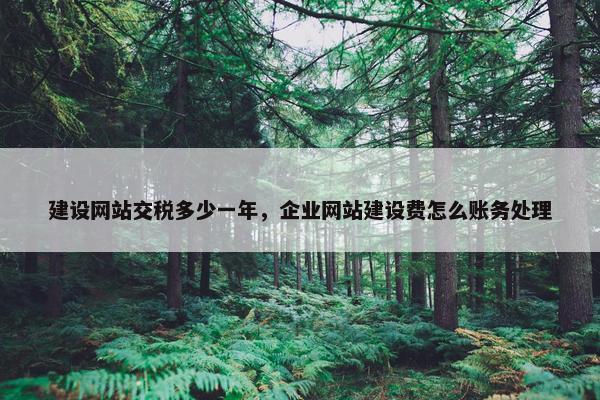 建设网站交税多少一年，企业网站建设费怎么账务处理