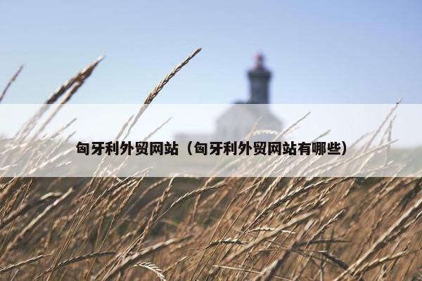 匈牙利外贸网站（匈牙利外贸网站有哪些）