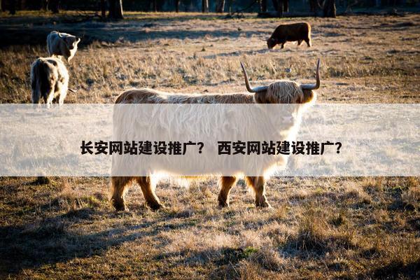 长安网站建设推广？ 西安网站建设推广？