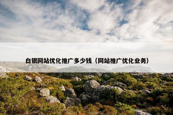 白银网站优化推广多少钱（网站推广优化业务）
