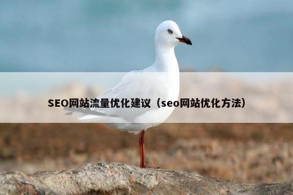 SEO网站流量优化建议（seo网站优化方法）