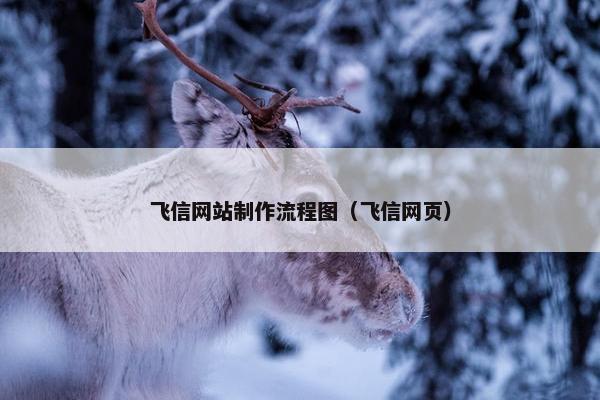 飞信网站制作流程图（飞信网页）