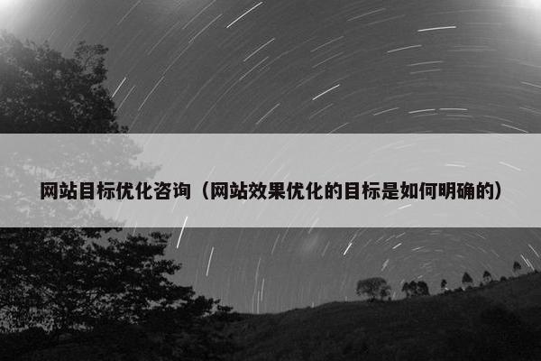 网站目标优化咨询（网站效果优化的目标是如何明确的）