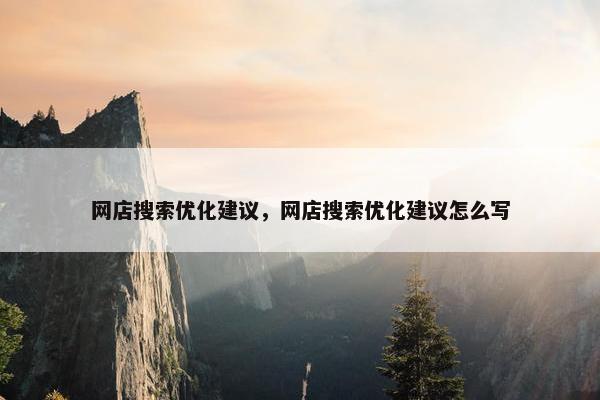 网店搜索优化建议，网店搜索优化建议怎么写