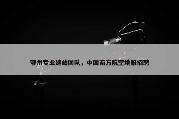鄂州专业建站团队，中国南方航空地服招聘