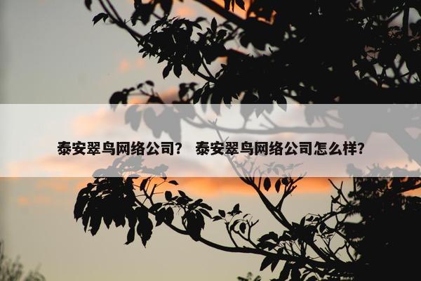 泰安翠鸟网络公司？ 泰安翠鸟网络公司怎么样？