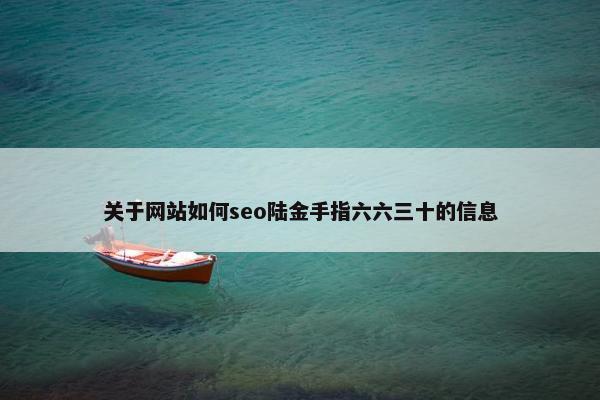 关于网站如何seo陆金手指六六三十的信息