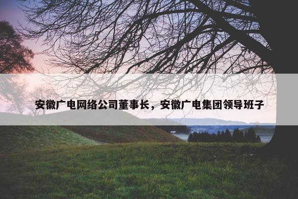 安徽广电网络公司董事长，安徽广电集团领导班子