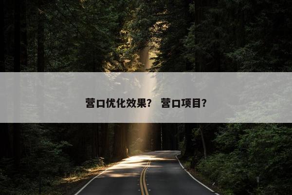 营口优化效果？ 营口项目？