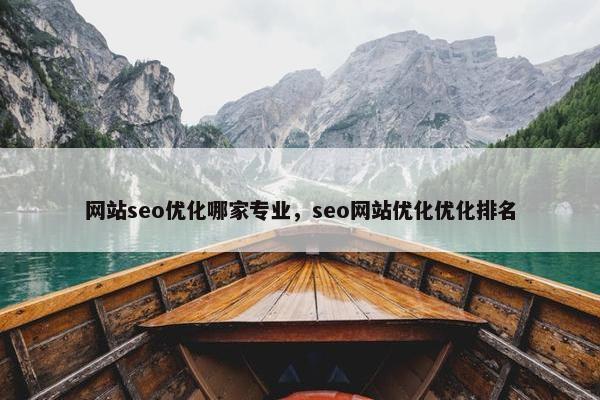 网站seo优化哪家专业，seo网站优化优化排名