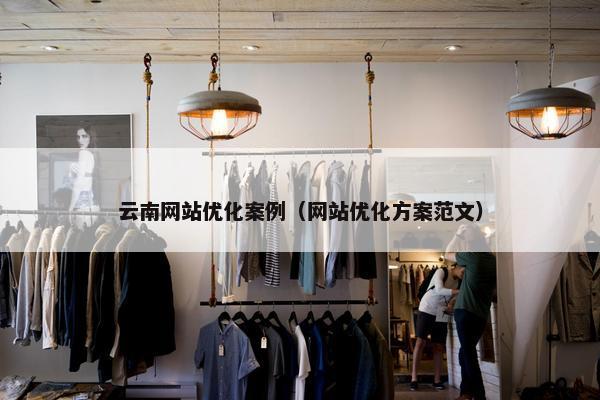 云南网站优化案例（网站优化方案范文）