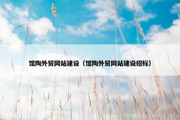 馆陶外贸网站建设（馆陶外贸网站建设招标）